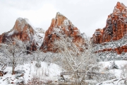Zion in Snow