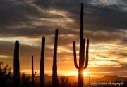 Arizona Desert Sunrise