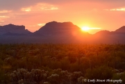 Arizona Sunset Sonoran Desert