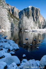 Yosemite View Snow