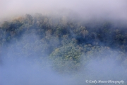 Costa Rica Mist